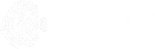 Kuby Kuby
