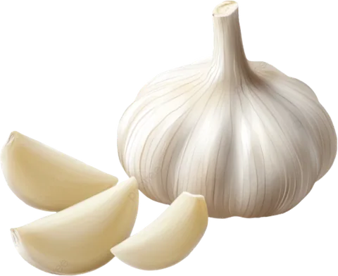Ajo