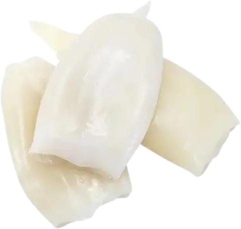 Calamar