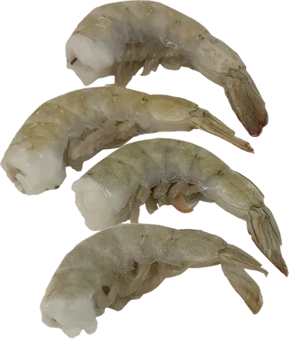 Camarón
