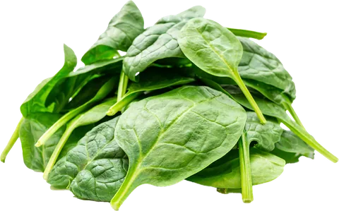 Espinaca