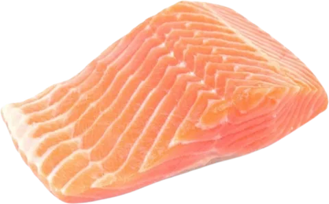 Salmón