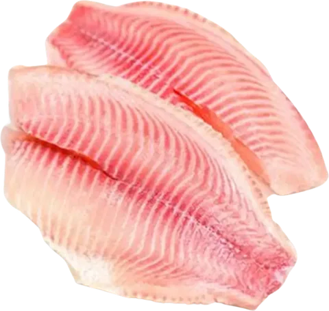 Tilapia