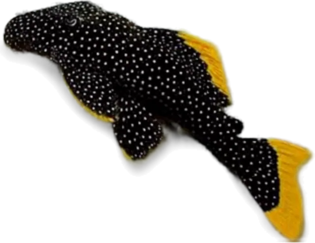 Gold Nugget, Baryancistrus xanthellus